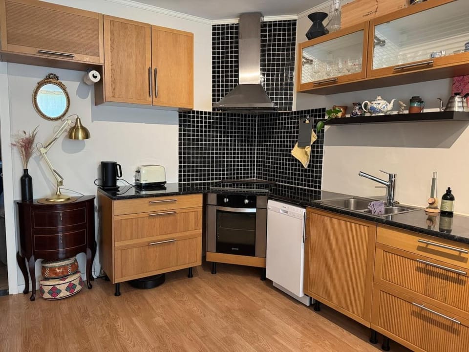 Comforting, warm and easy to get anywhere Apartment in Oslo
