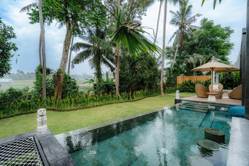 Day, Garden, Garden view, Pool view, Swimming pool, sunbed