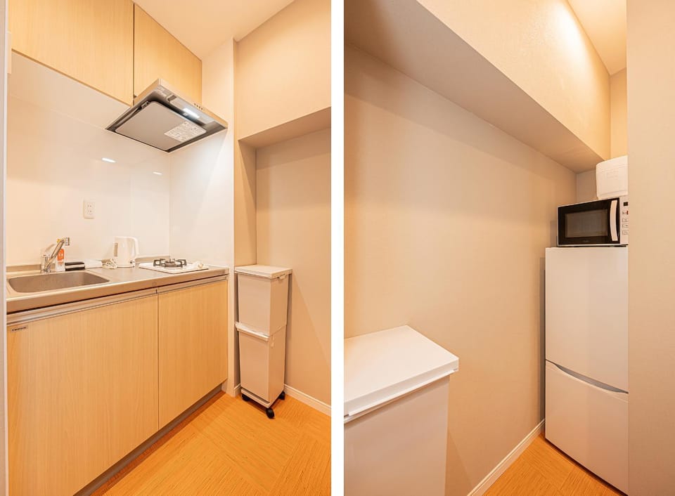 Asakusa Miyabi Inn A Apartment in Japan