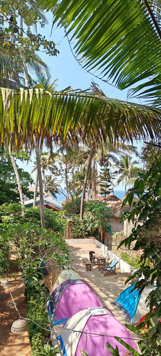 Yog Inn Inn in Varkala