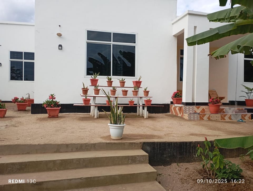 Property building, Day, Garden