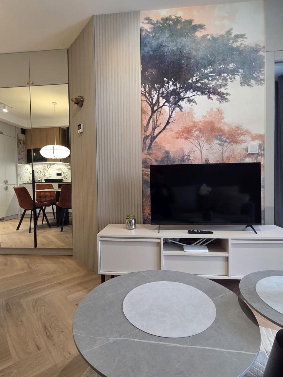 TV and multimedia