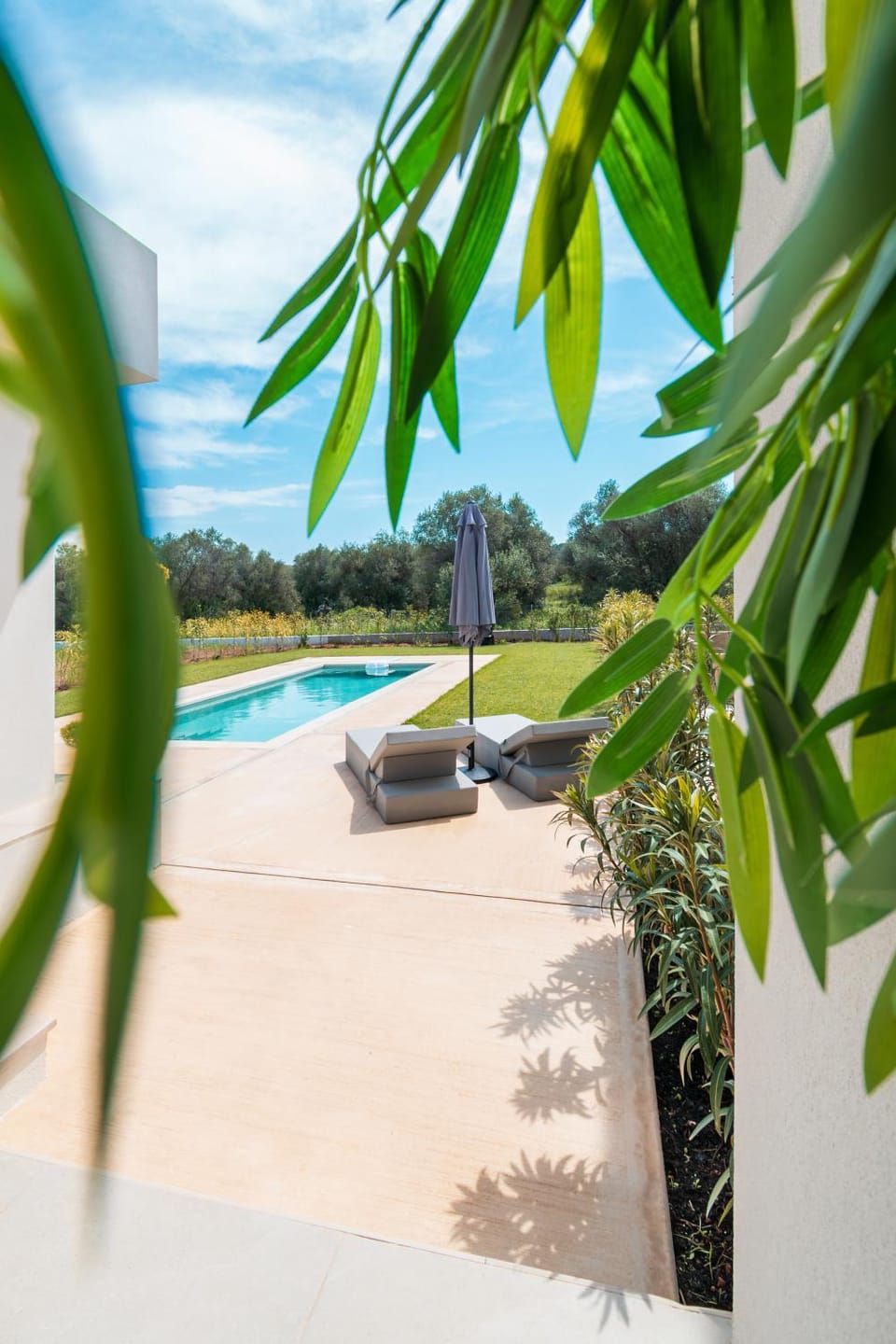 Garden, Garden view, Pool view, Swimming pool, sunbed