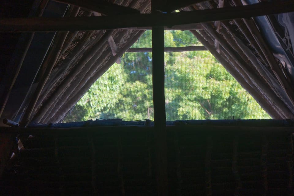 Rasal homes Bed and Breakfast in Kwale, Kenya