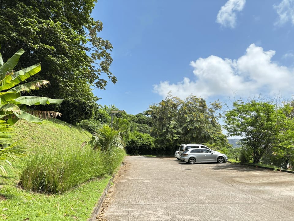 Spring, Day, Natural landscape, Parking