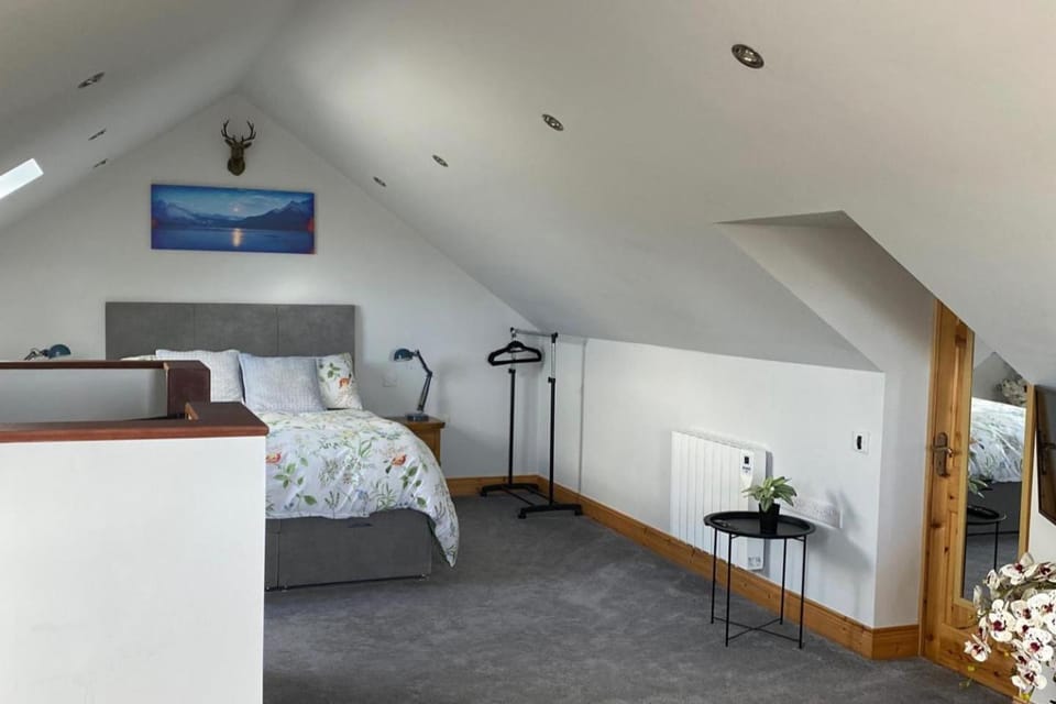 Bed, TV and multimedia, Living room, Photo of the whole room, Seating area, Bedroom