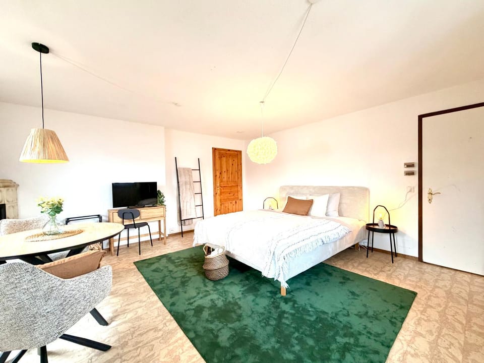 Bed, Living room, Photo of the whole room, Seating area, Bedroom