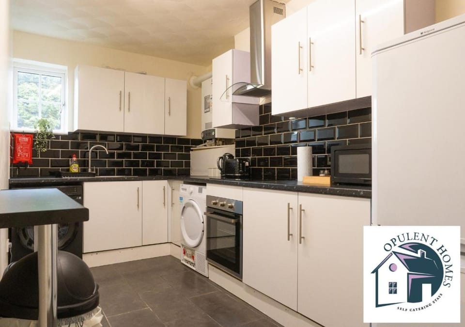 Kitchen or kitchenette, dishwasher, oven, stove, toaster
