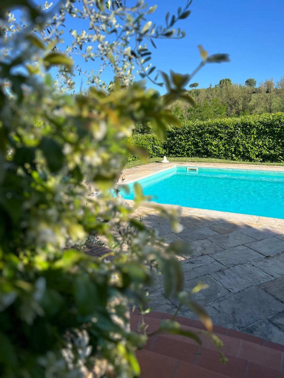 La Pendolina - Panoramic terrace apartment Apartment in Tuscany