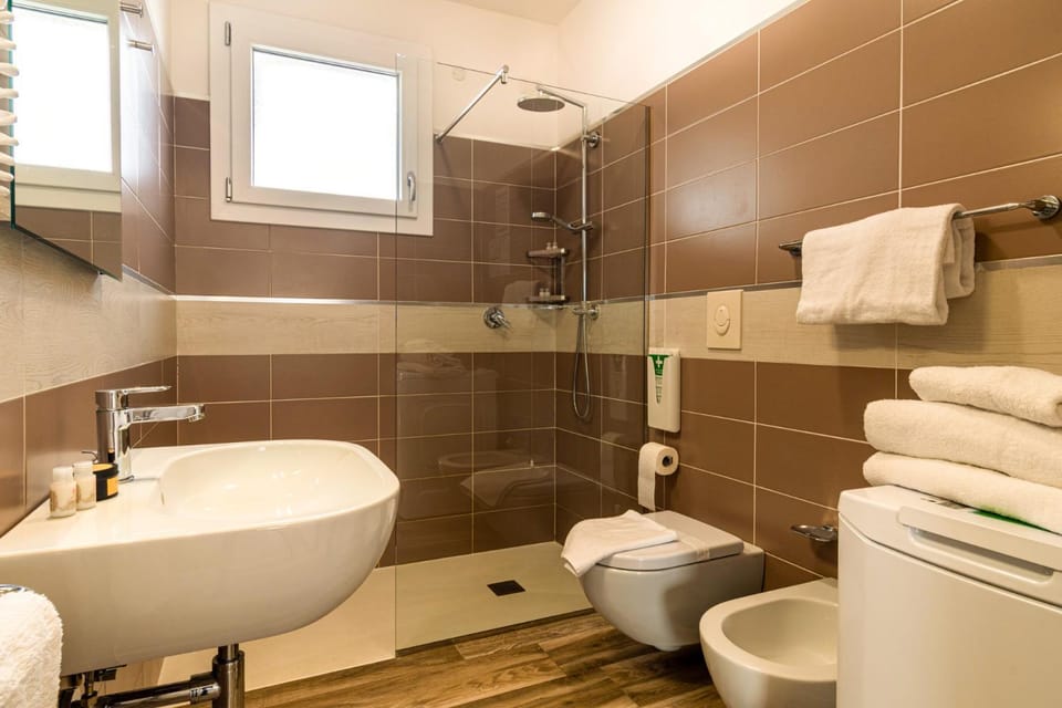 Shower, bidet, hair dryier, towels