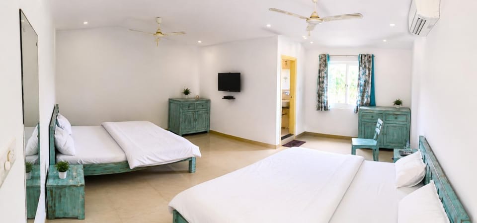 Photo of the whole room