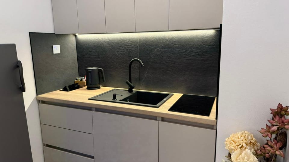 Kitchen or kitchenette, minibar, stove