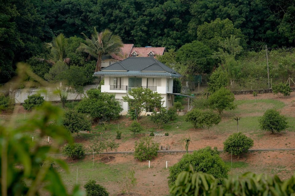 View (from property/room)