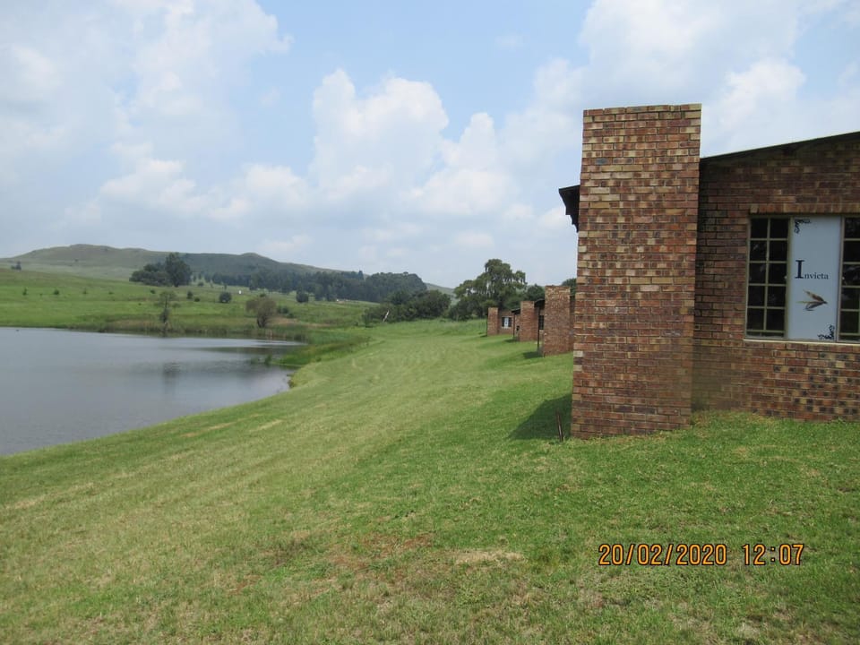 Lake view