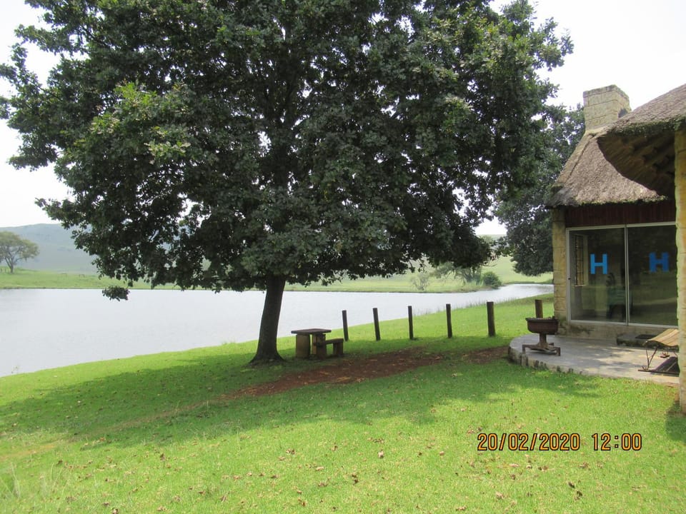 Lake view
