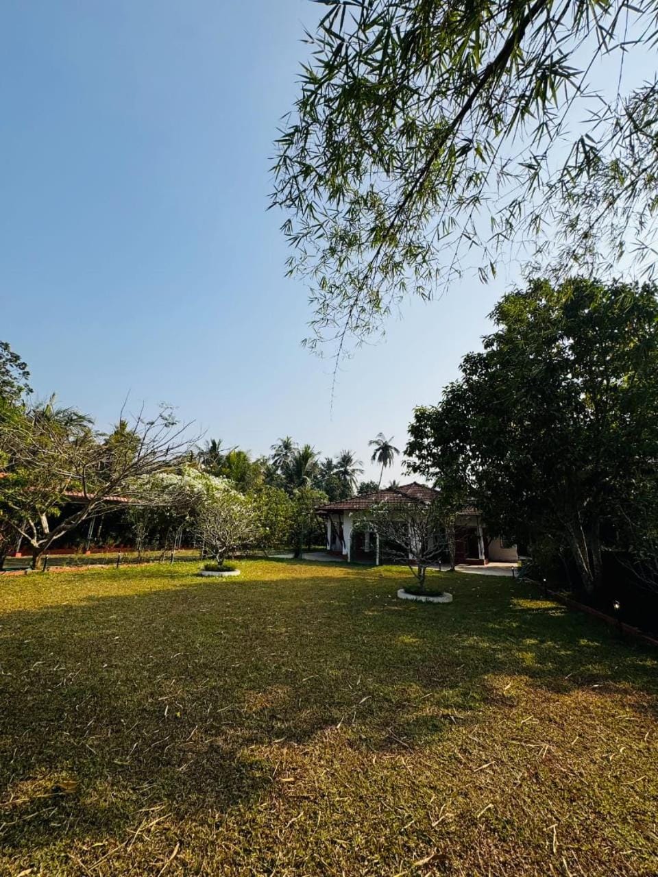 Spring, Day, Natural landscape, Garden, Garden view