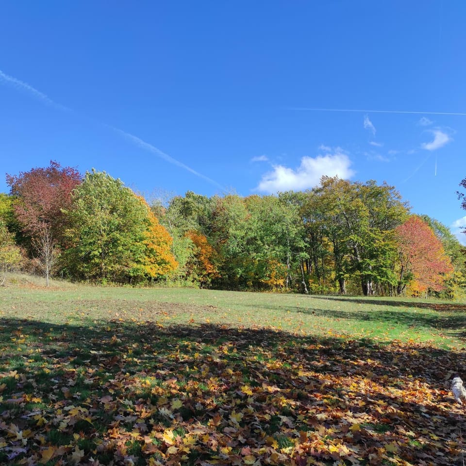 Hiking, Hiking, Autumn
