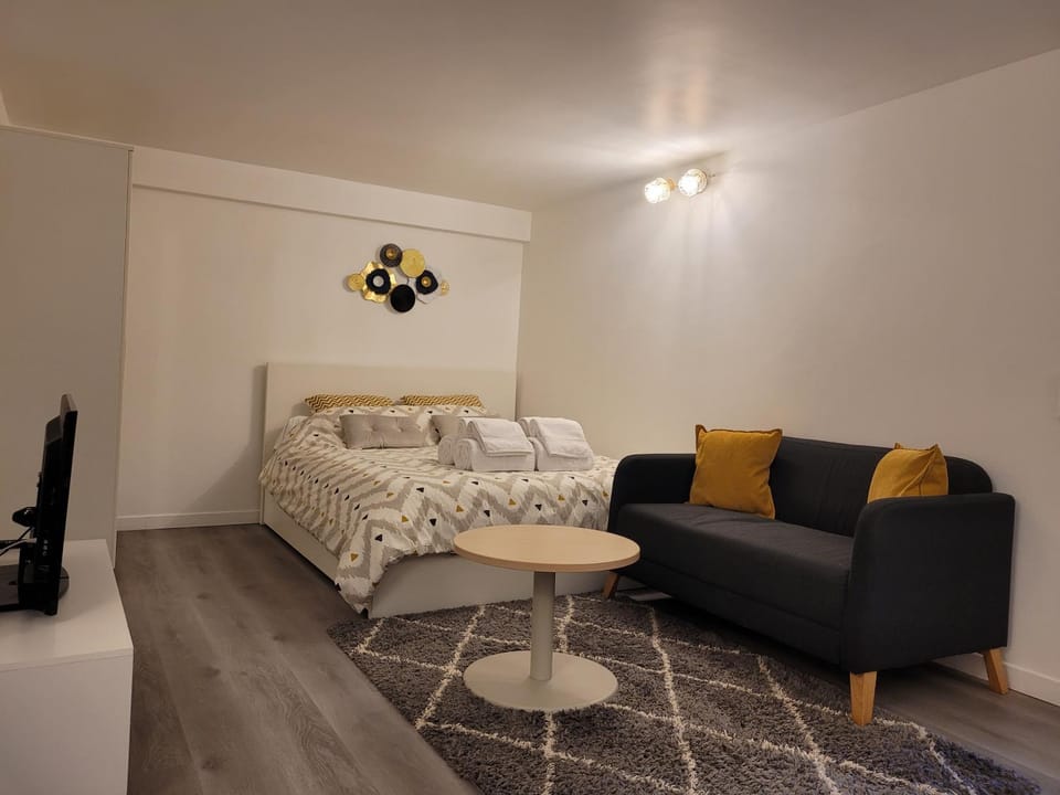 Bed, TV and multimedia, Living room, Photo of the whole room, Seating area, Bedroom, internet