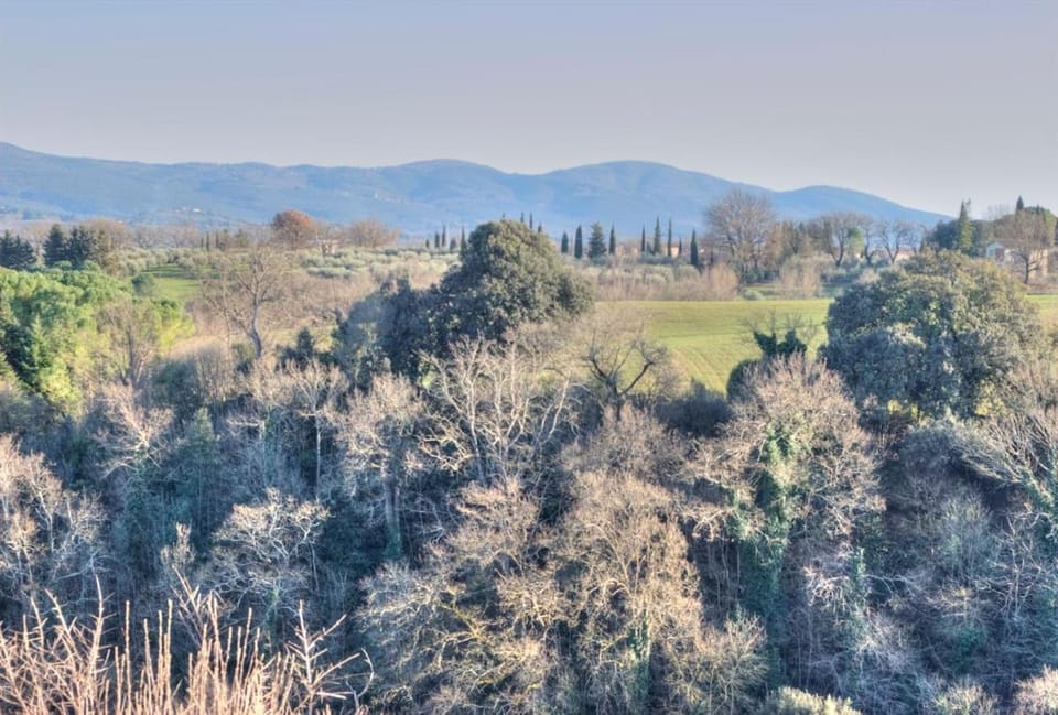 Palazzo Bonaccorsi dimora nel Centro Storico Apartment in Colle di Val d Elsa