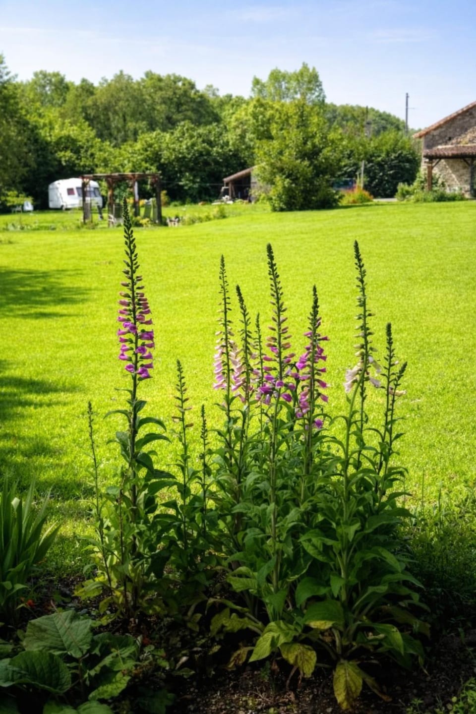 Garden, View (from property/room)