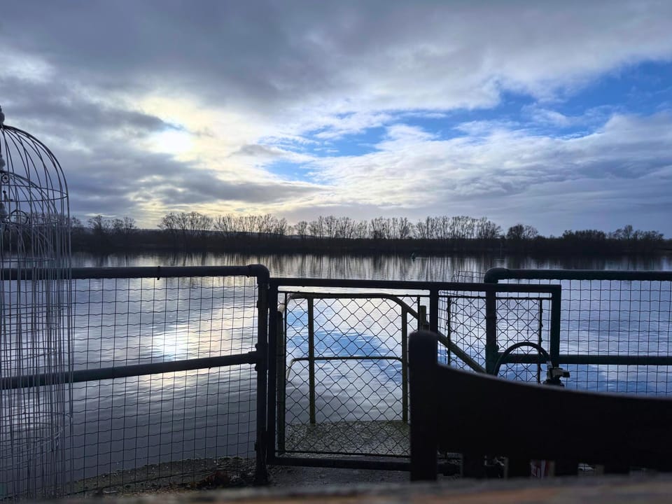 Lake view