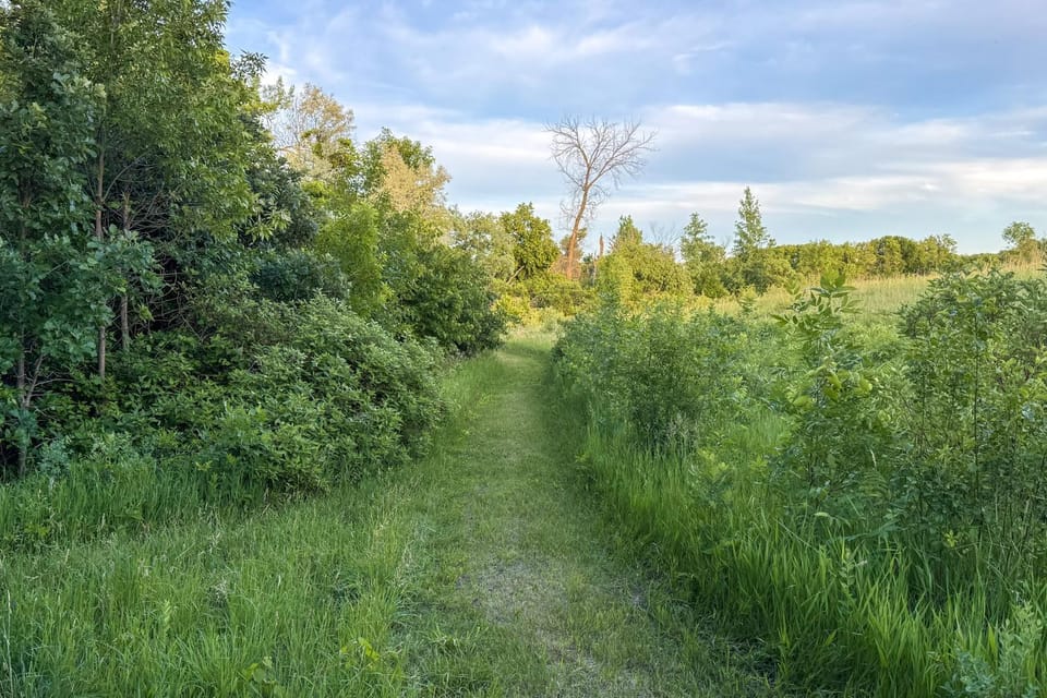 Boat & Hike Up North! Lakefront Minnesota Escape House in Minnesota