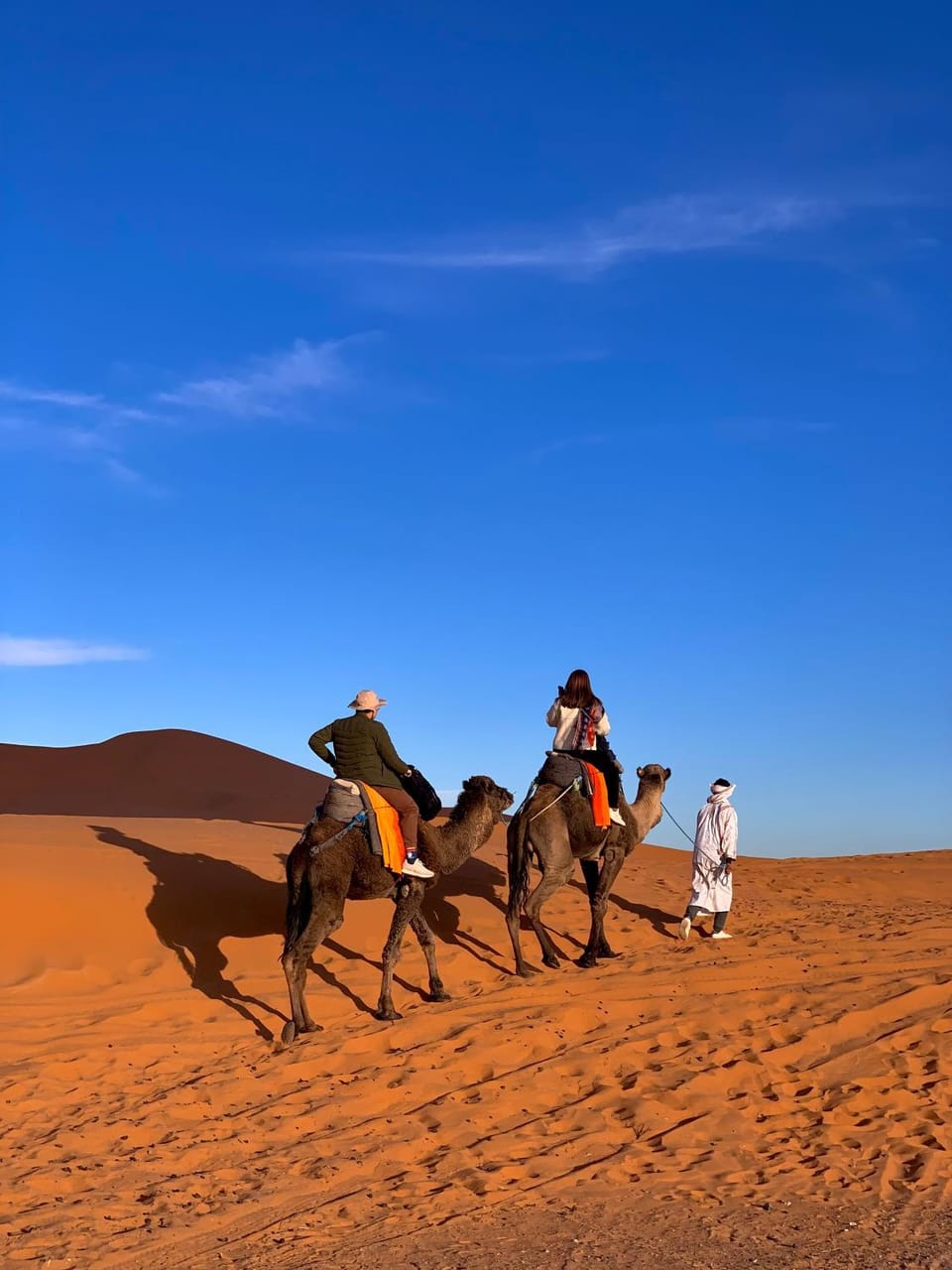 Day, People, Natural landscape, Horse-riding, group of guests