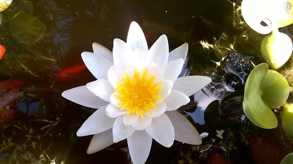 Agriturismo Villa Serena Farm Stay in Veneto