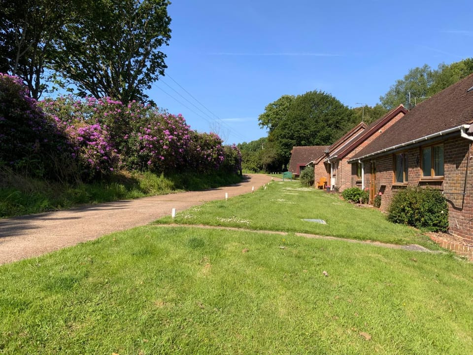 Daisy Cottage House in Hailsham