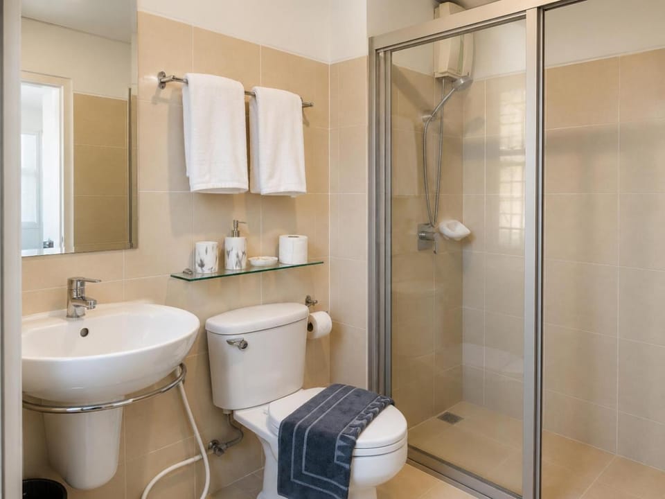 Shower, Toilet, Bathroom, bidet, bidet