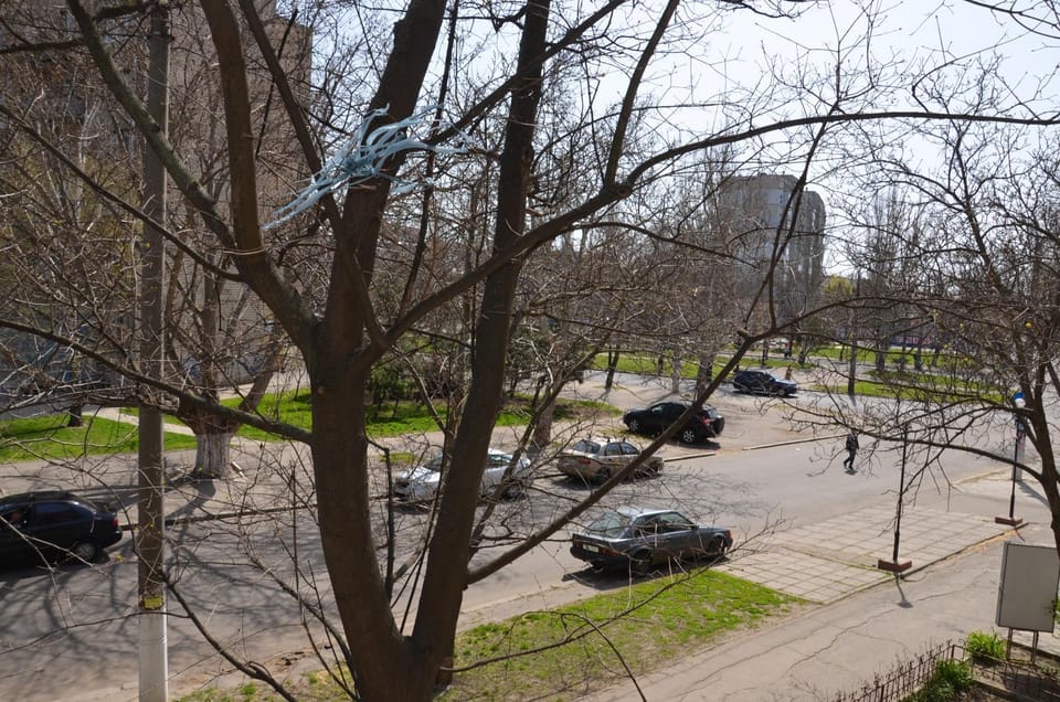 View (from property/room), City view, Street view