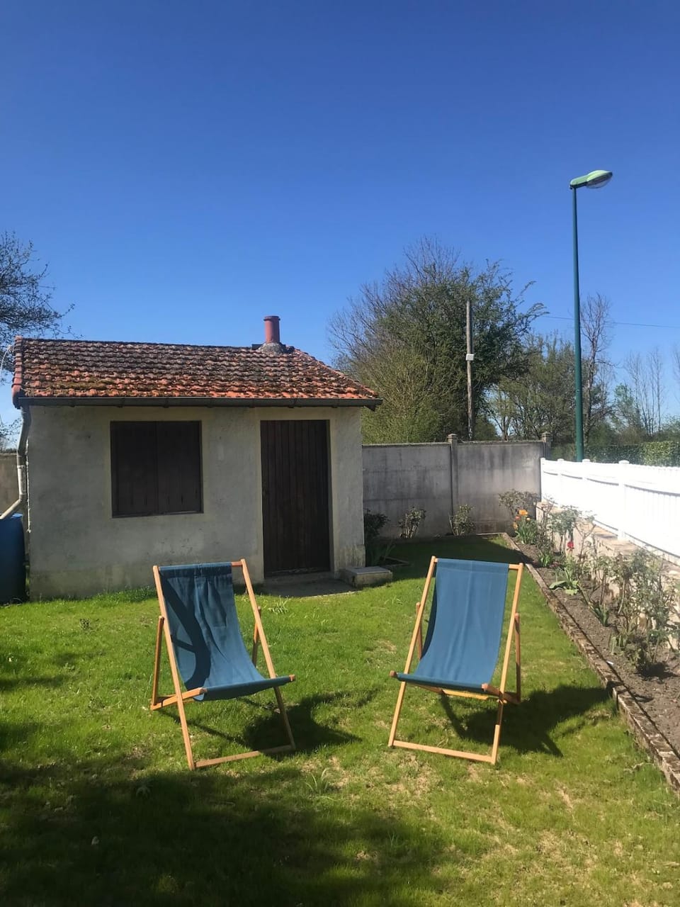 Garden, Garden view, sunbed