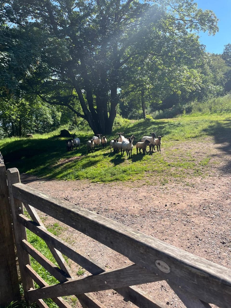 Cosy Studio on the Mendip Way House in Sedgemoor