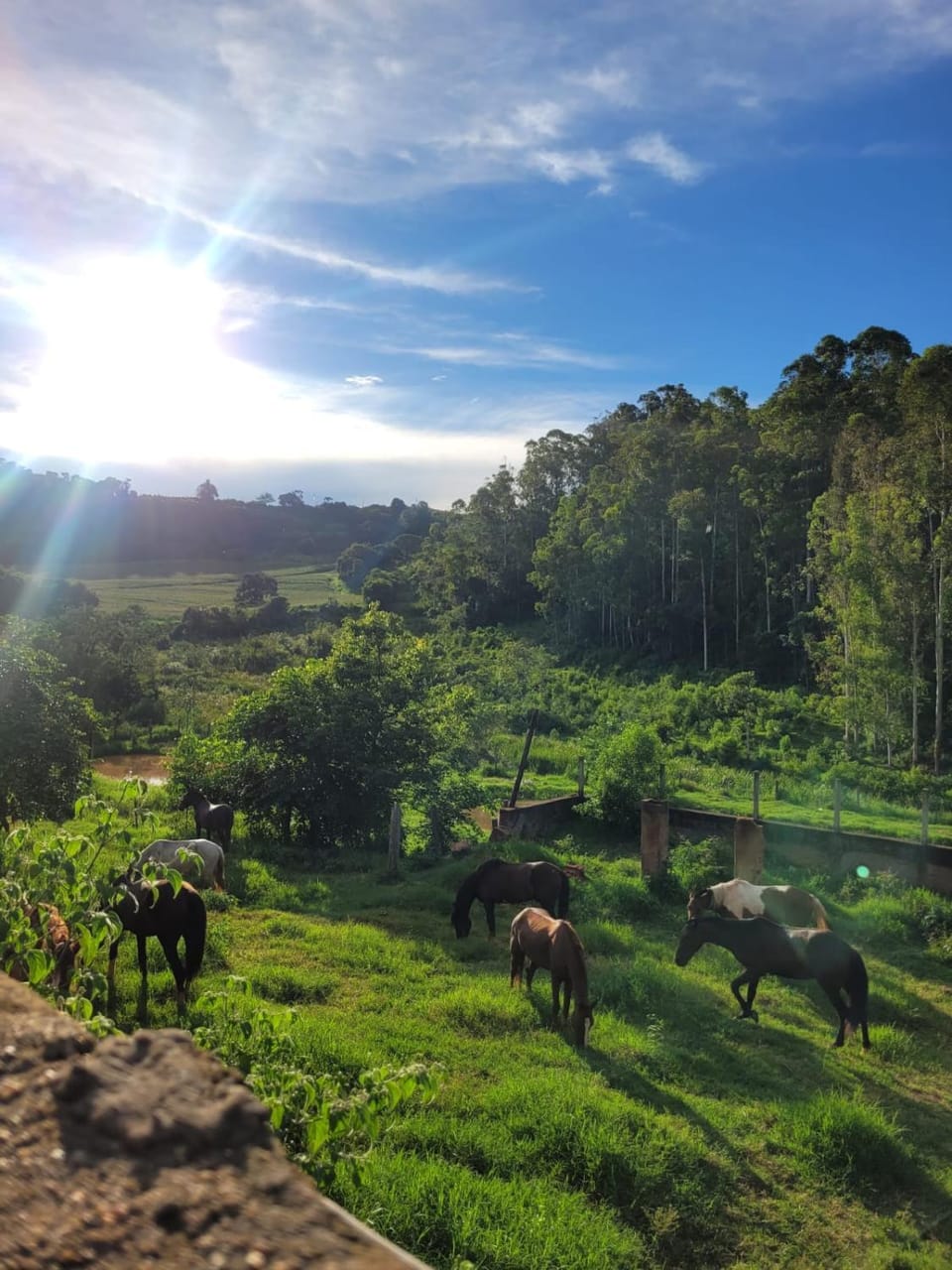 Pousada DrChico Farm Stay in State of São Paulo