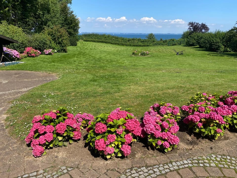 Garden view