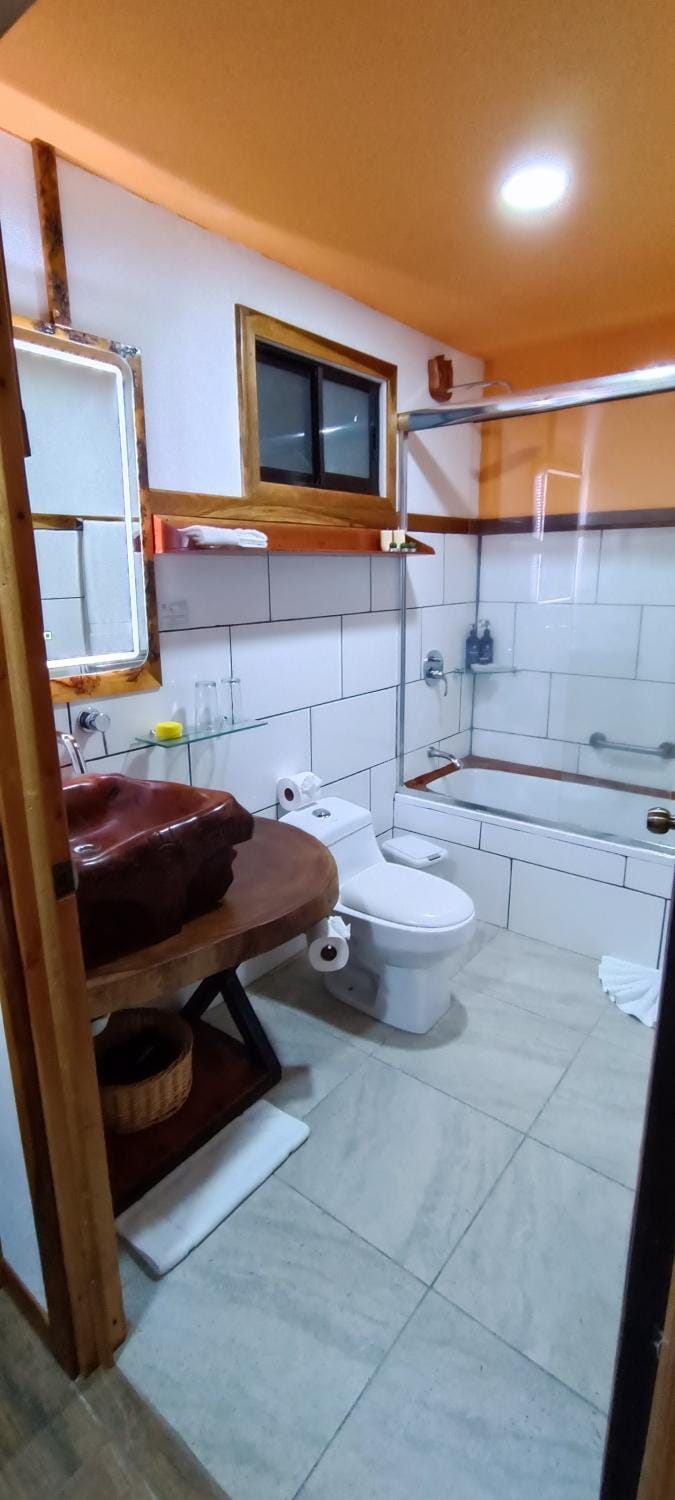 Shower, Toilet, Bathroom, Bath