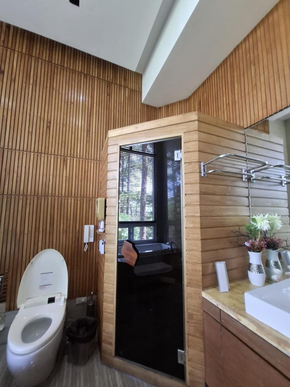 Toilet, Sauna, Bathroom