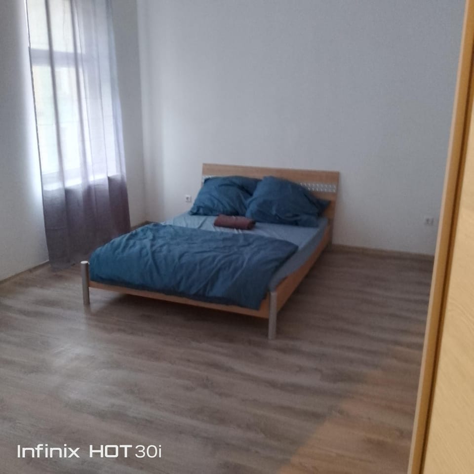 квартира! почесавая, суточная аренда Apartment in Freiberg