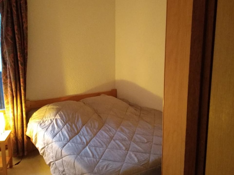 Charmant Appartement au Centre, Animaux Admis, 4 pers. - FR-1-836-64 Apartment in Arâches-la-Frasse