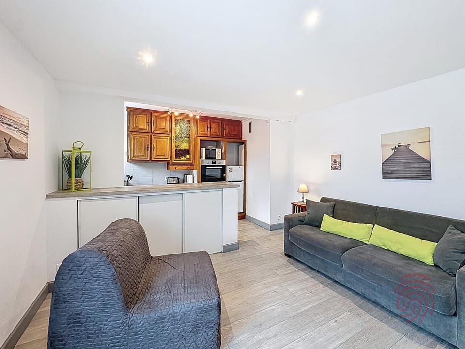 Studio climatisé avec animaux admis au centre-ville près des thermes - FR-1-451-225 Apartment in Occitanie