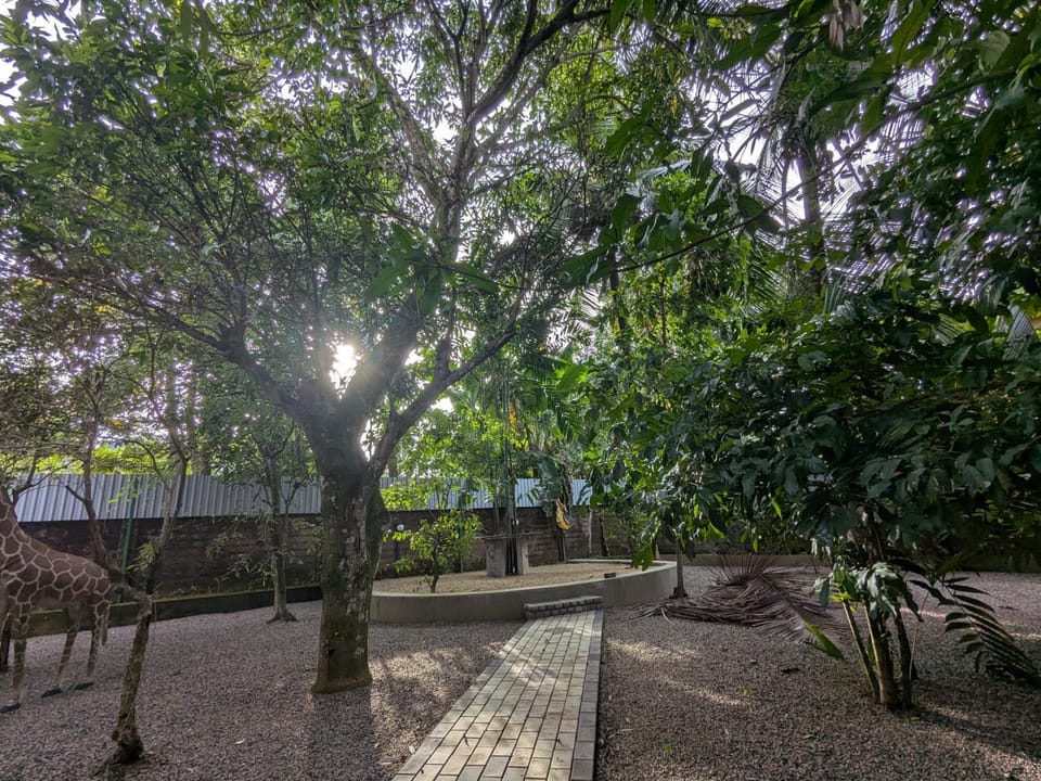 Day, Natural landscape, Garden, Garden view