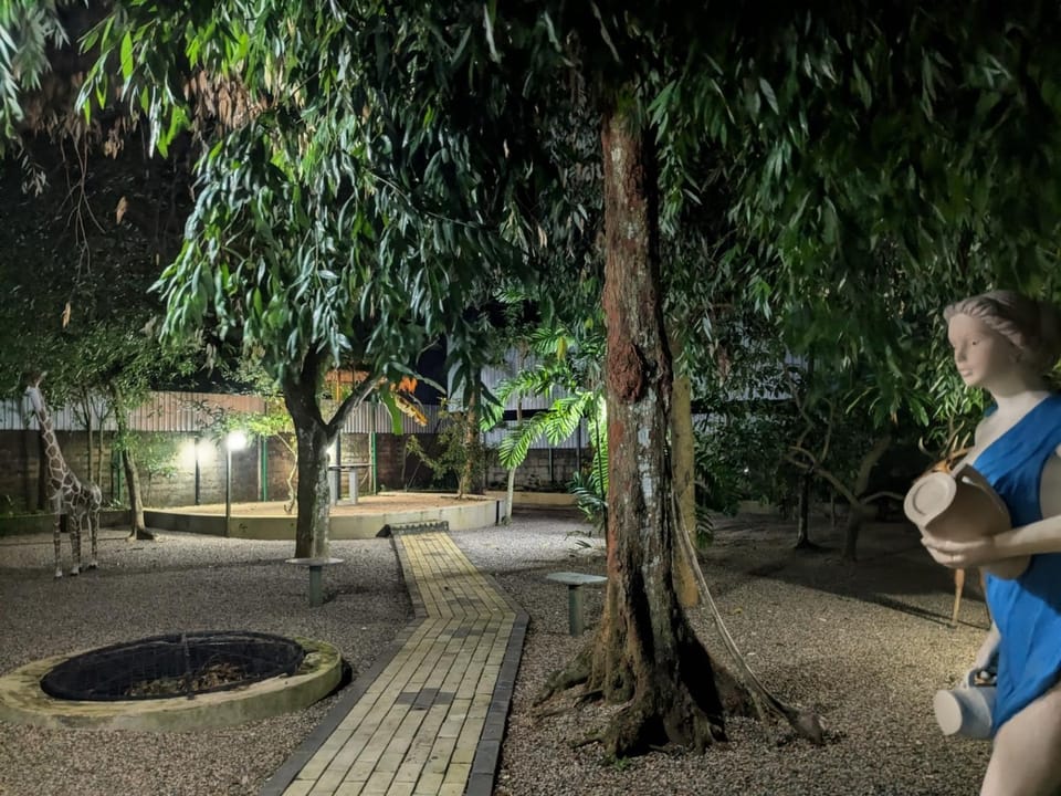 Night, Garden view