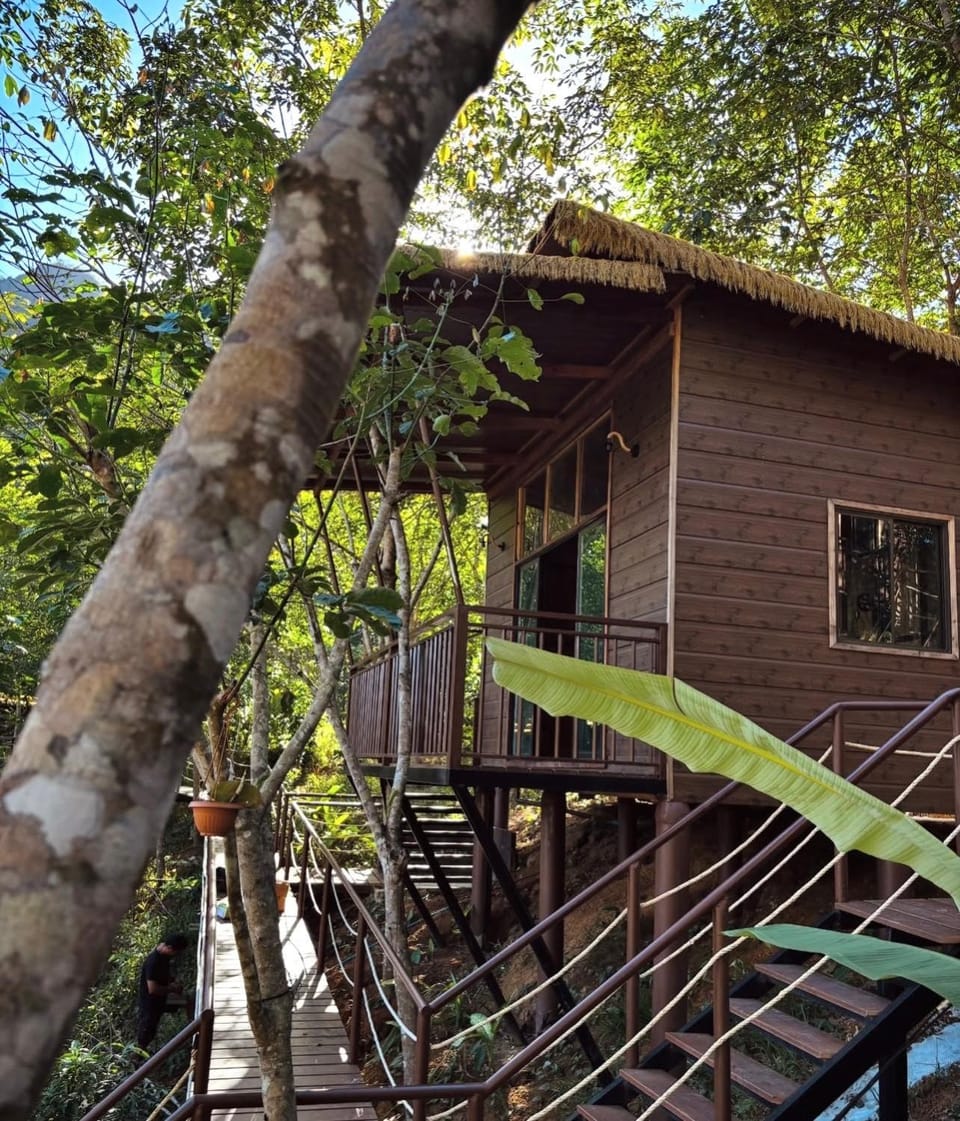 Khao Sok Jungle Roots Resort Vacation rental in Khlong Sok