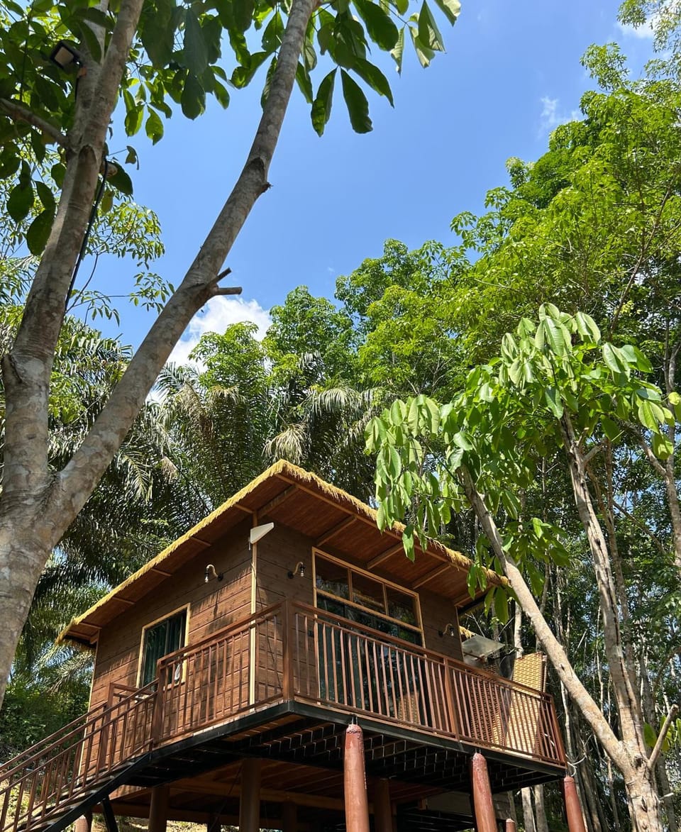 Khao Sok Jungle Roots Resort Vacation rental in Khlong Sok