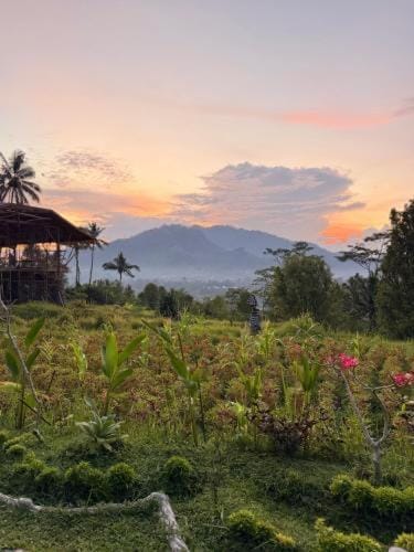 Natural landscape, Mountain view, Sunrise