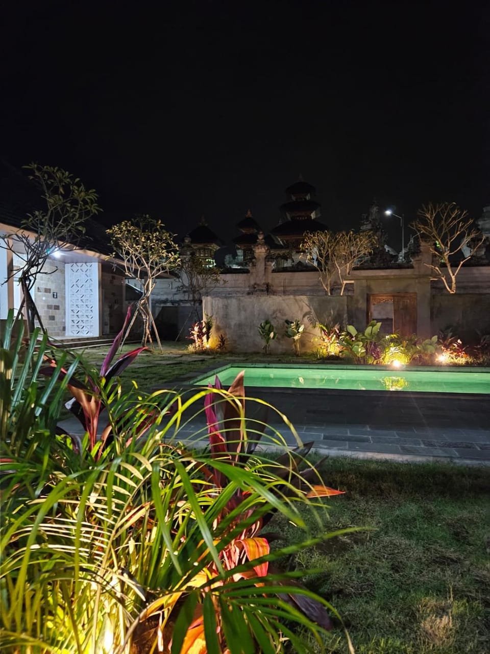 Night, Garden, Garden view, Pool view, Swimming pool