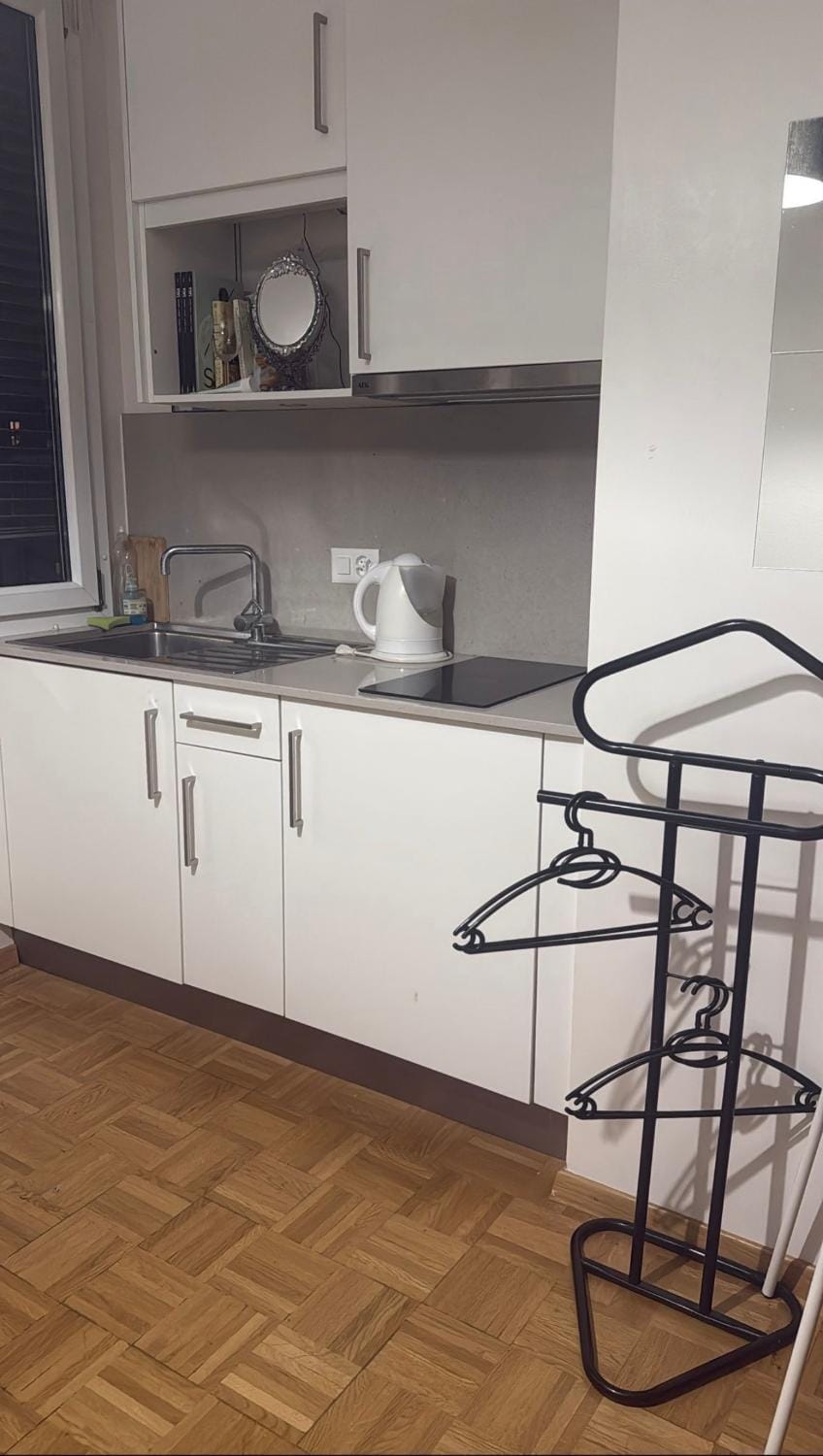 Appartement Centre de Genève Apartment in Geneva
