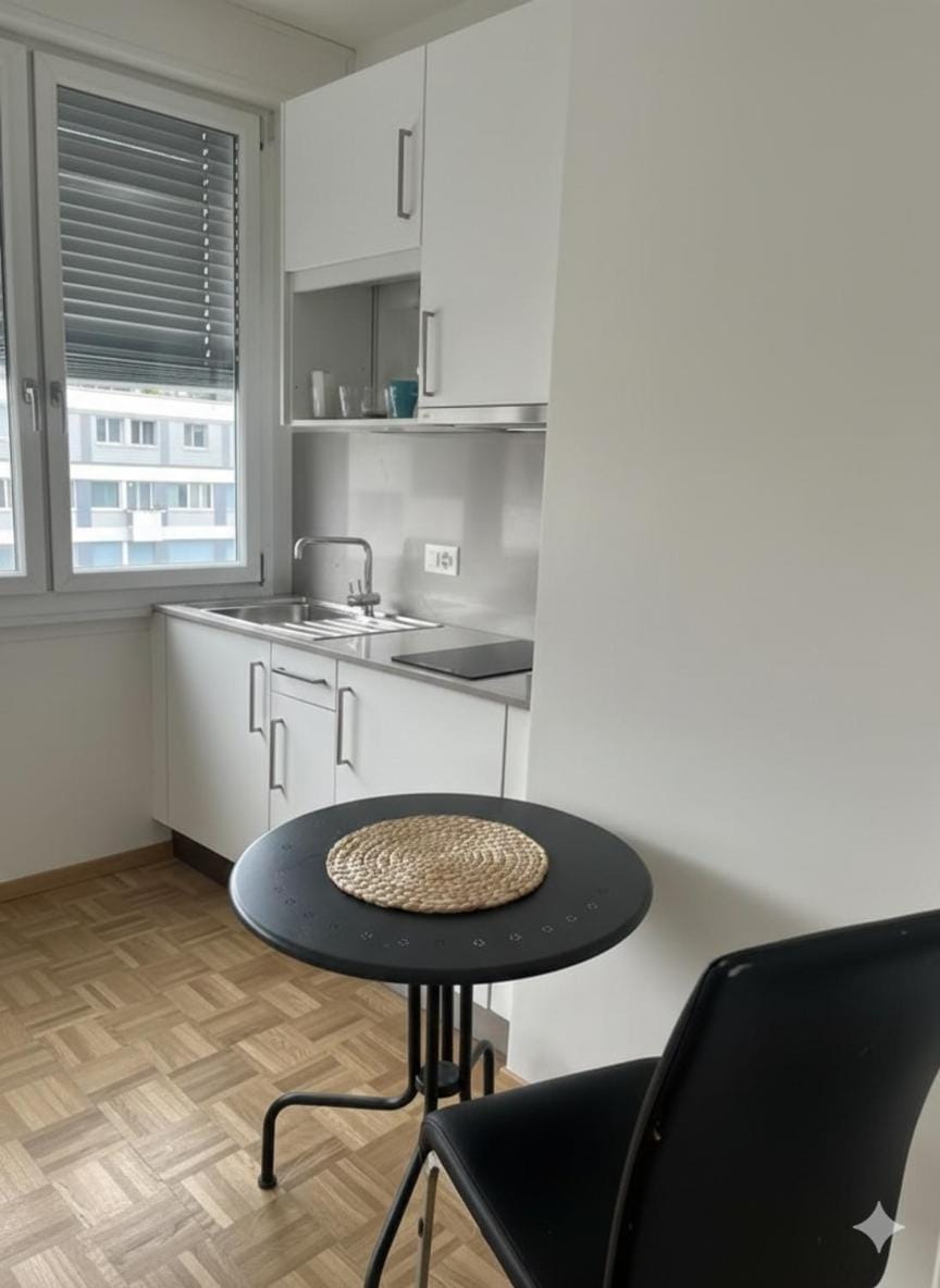 Appartement Centre de Genève Apartment in Geneva