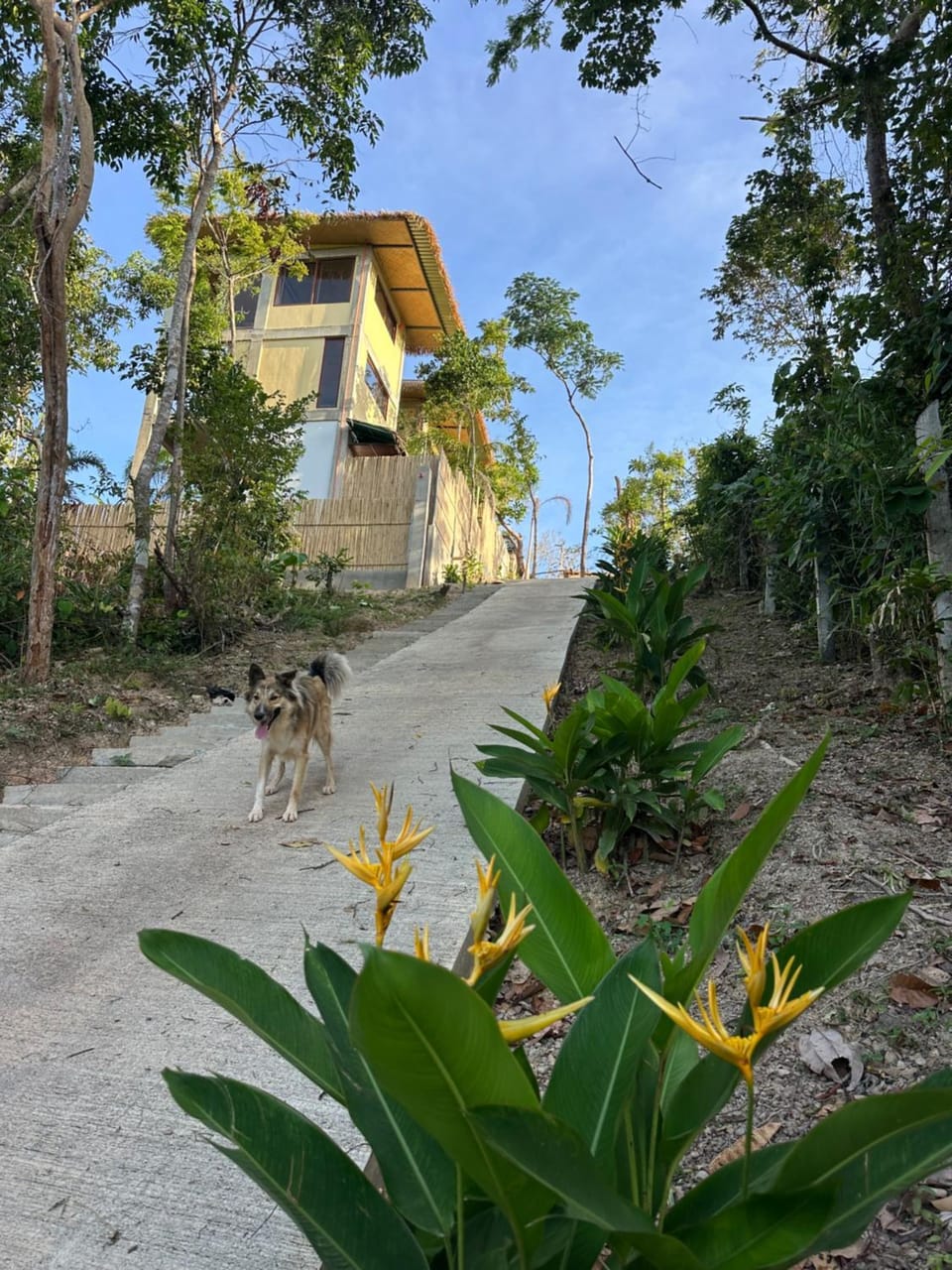 Vista Cadlao Villa in El Nido