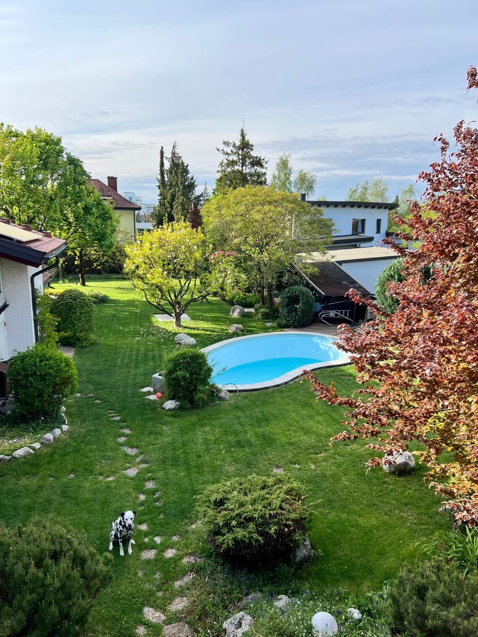 Garden, Pool view, Swimming pool